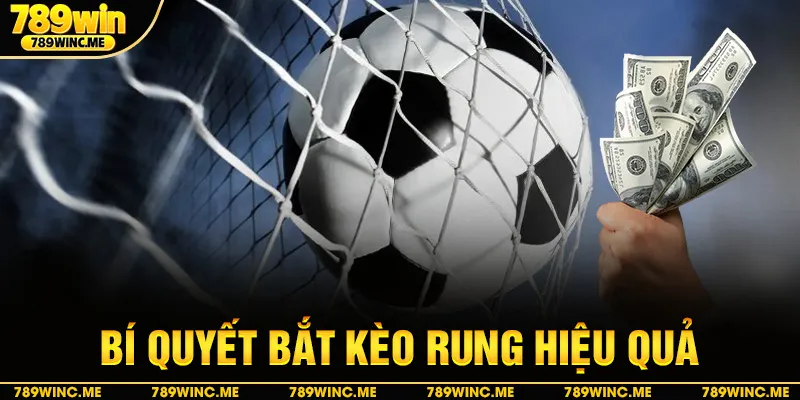 Bí quyết bắt kèo rung hiệu quả 