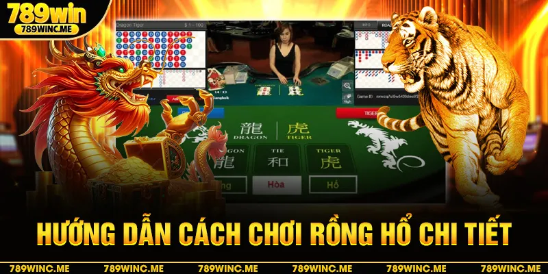 Hướng dẫn cách chơi rồng hổ chi tiết